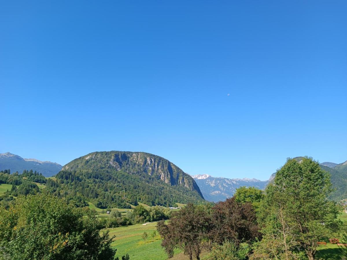 Apartmaji Hodak Bohinji-tó Kültér fotó